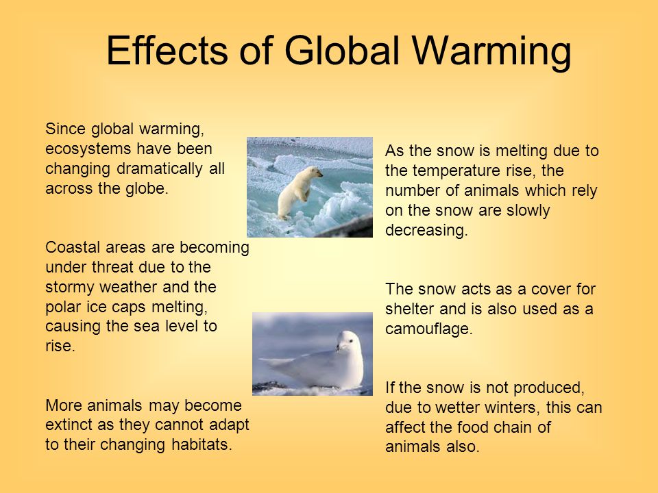 Dire Consequences of Global Warming and its Eerie Effects on Life